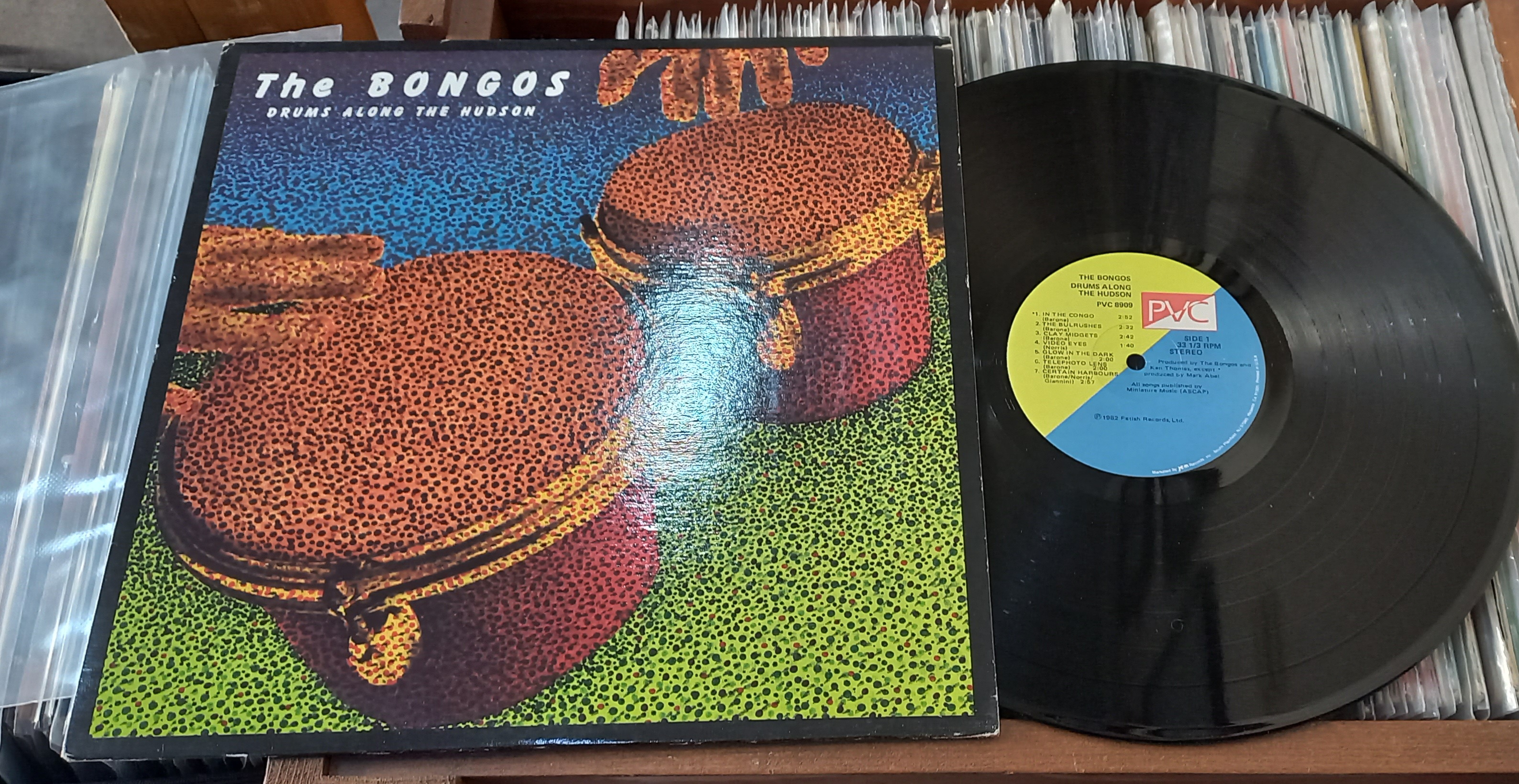 The Bongos – Drums Along The Hudson