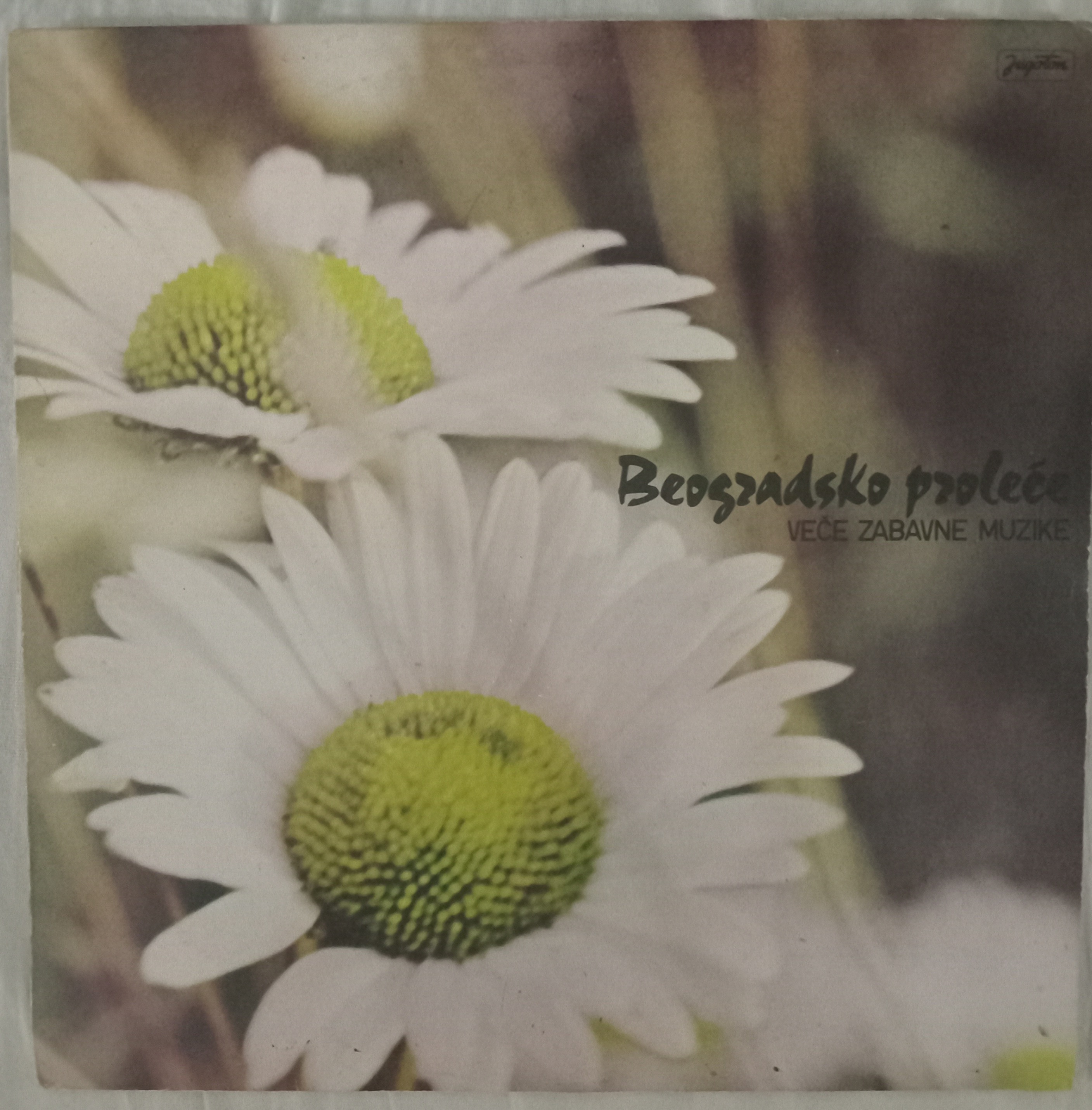 Beogradsko Proleće- Veče Zabavne Muzike
