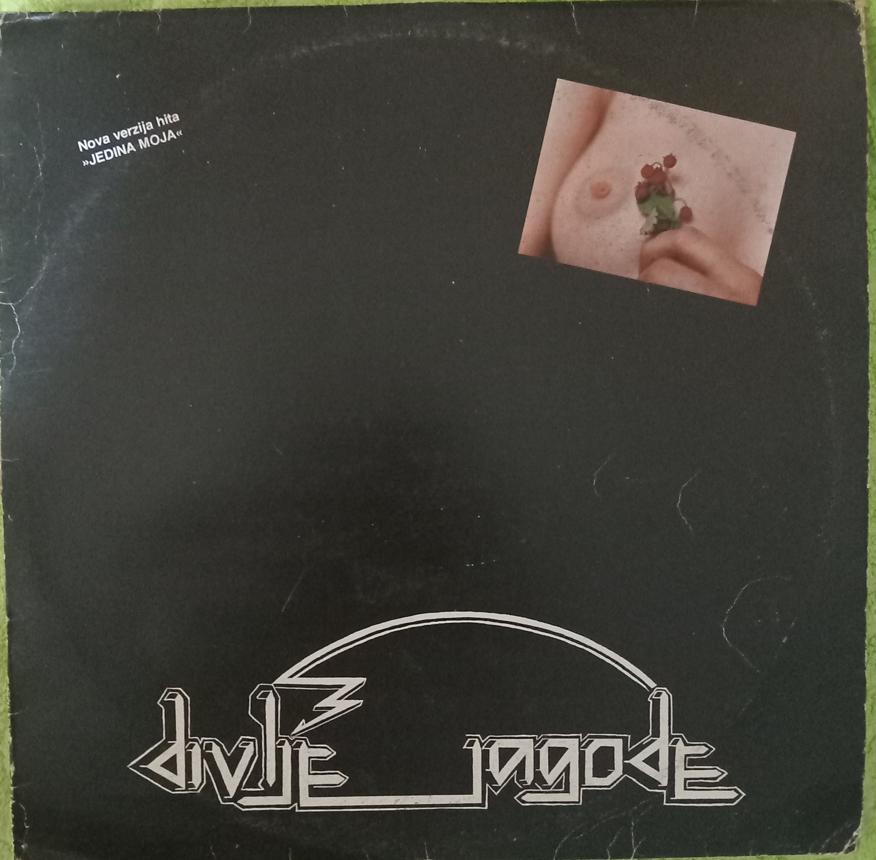 Divlje Jagode- Divlje Jagode