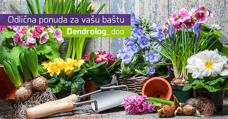 Mart tri - Dendrolog