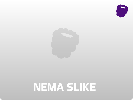 Vrati se kući pre mraka – Rajli Sejger